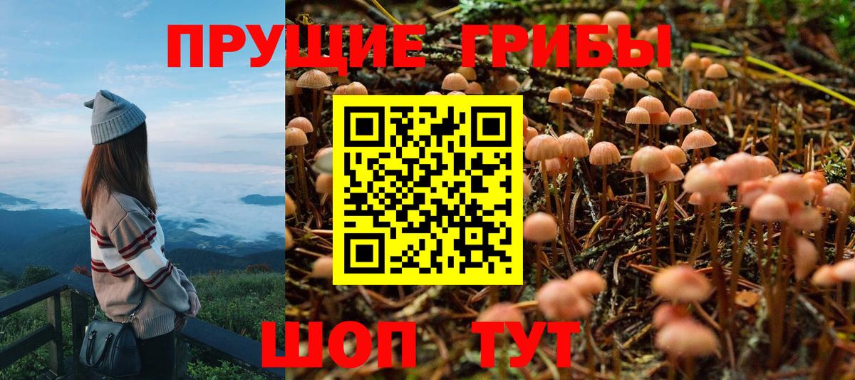 как найти наркотики  Галлюциногенные грибы Magic Shrooms  Вход с VPN  Белогорск 