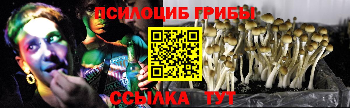 Псилоцибиновые грибы ЛСД Белогорск
